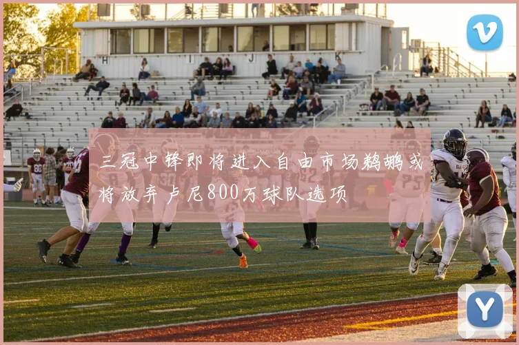 三冠中锋即将进入自由市场鹈鹕或将放弃卢尼800万球队选项