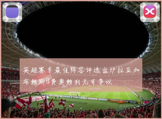 英超赛季最佳阵容评选出炉拉亚加布赖斯B费奥赖利无可争议
