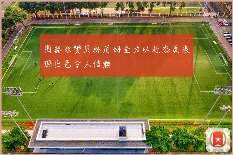 图赫尔赞贝林厄姆全力以赴态度表现出色令人信赖